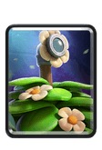 Suspicious Bush Clash Royale